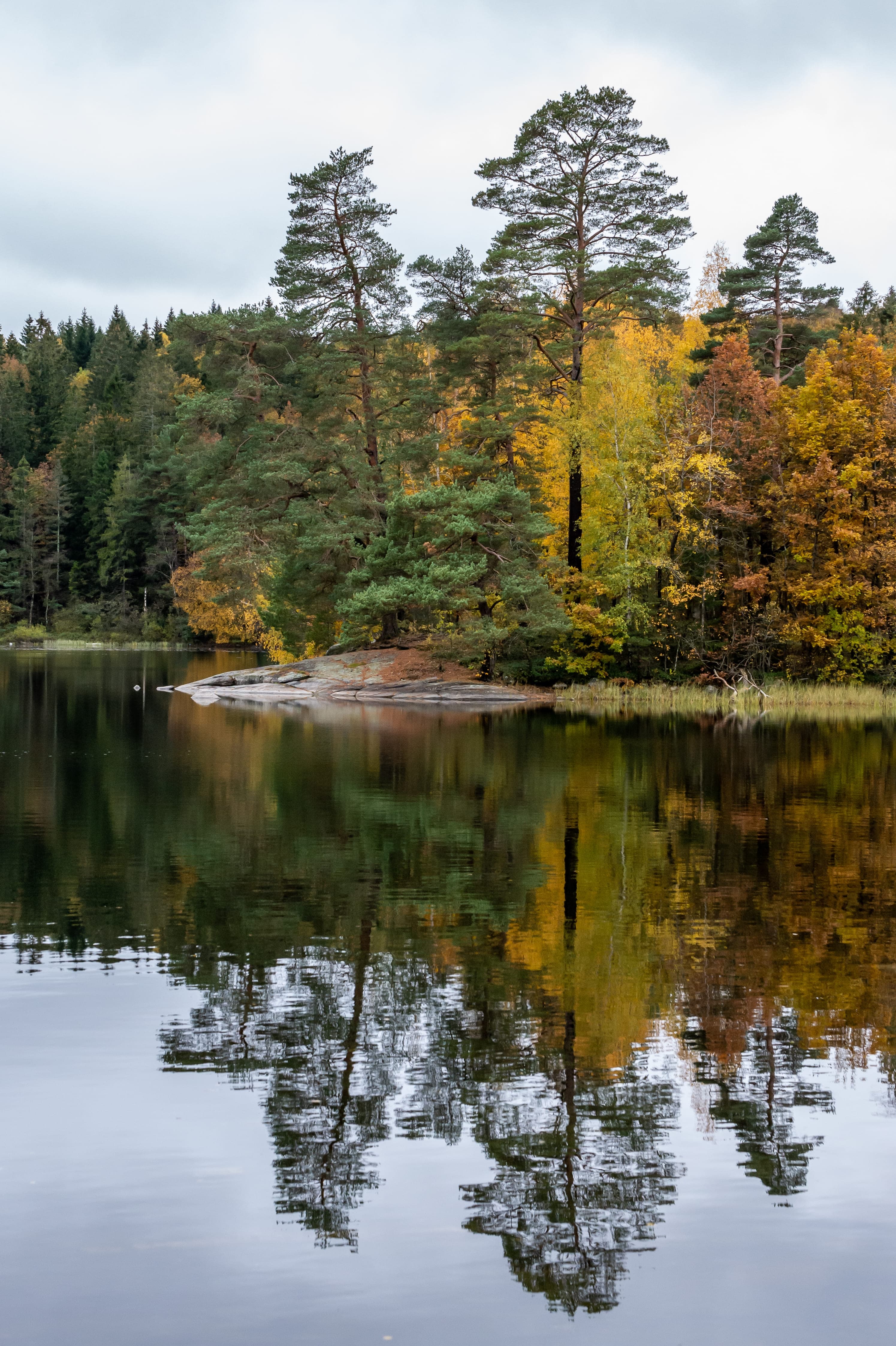 Event Parc de la Mauricie à Montréal